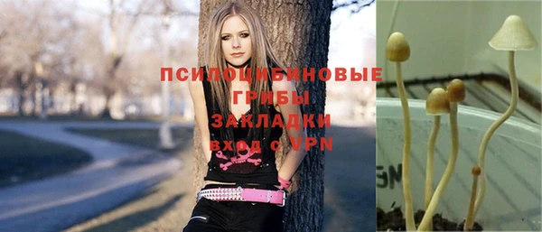 прущая мука Балахна